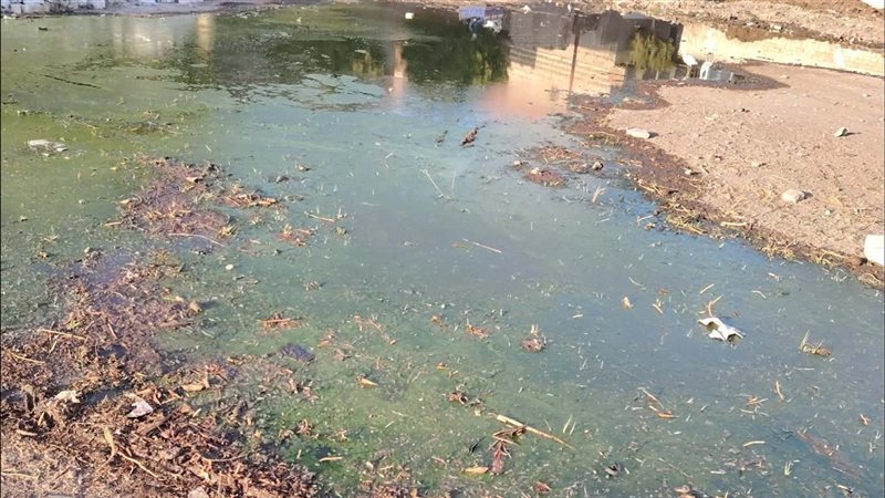 غياب مياه الإسالة يفاقم معاناة سكان منطقة المضمون غربي السماوة